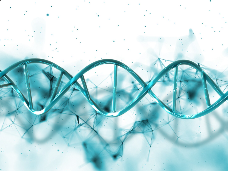 Faint chromosome and DNA network
